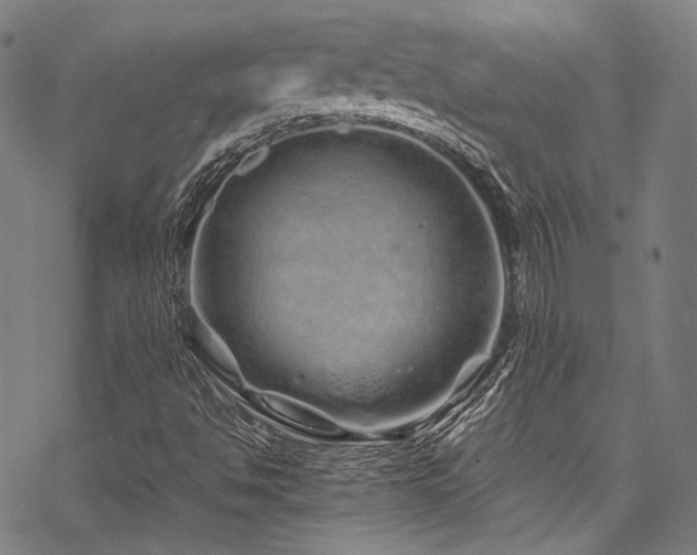 X0000070191494200605261144