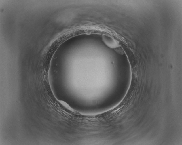 X0000070191495200605261144