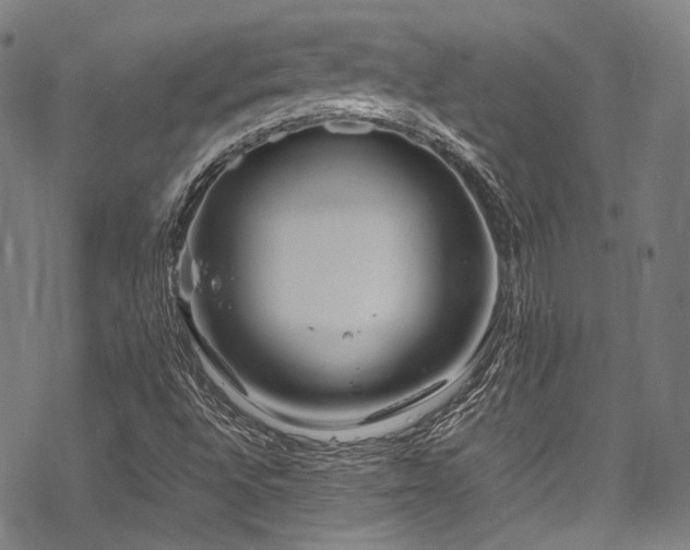 X0000070191496200605261144