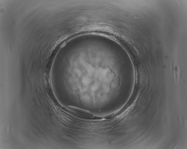 X0000070191497200605261144