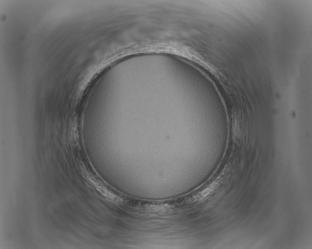 X0000070191498200605261144