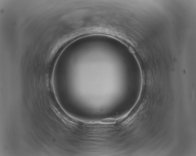 X0000070191499200605261144