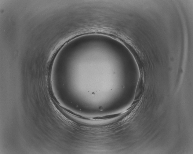 X0000070191500200605261144