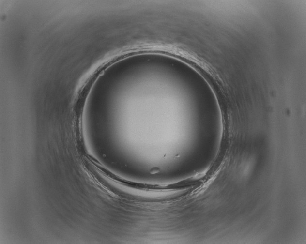 X0000070191502200605261144