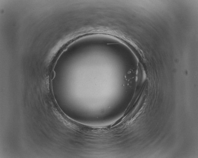 X0000070191503200605261144