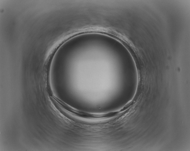 X0000070191504200605261144