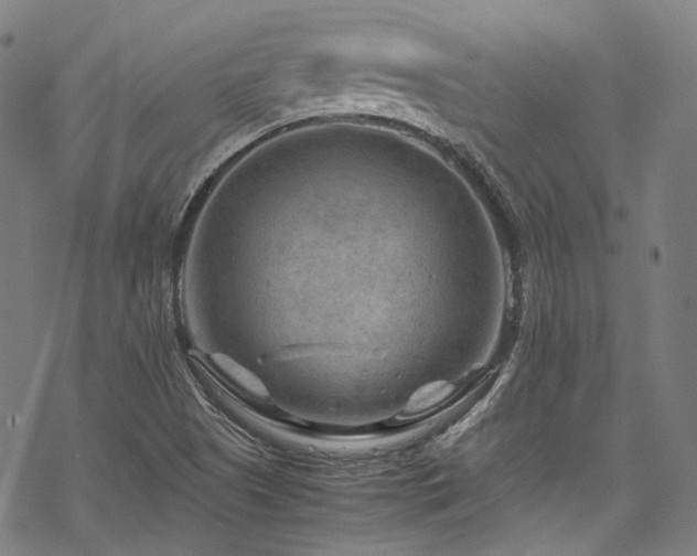 X0000070191505200605261144