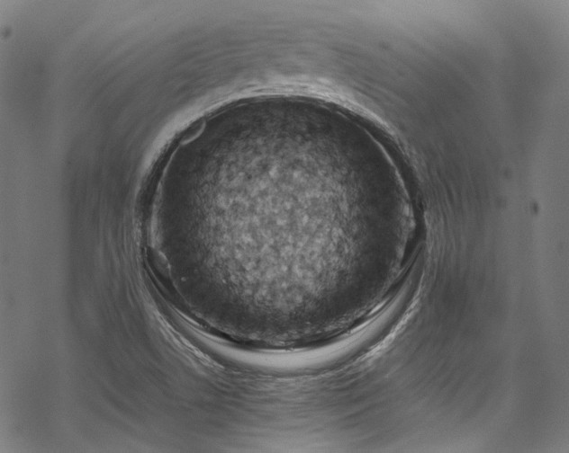 X0000070191506200605261144