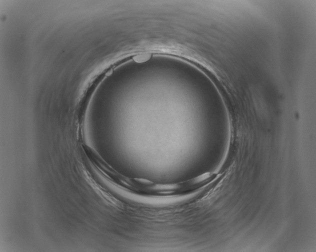 X0000070191507200605261144