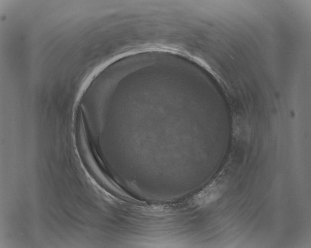 X0000070191508200605261144