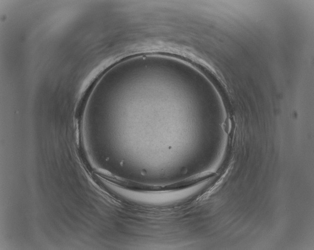 X0000070191509200605261144