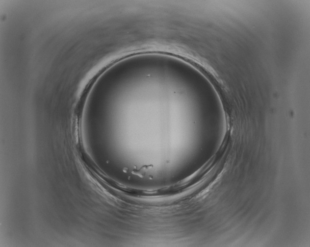 X0000070191510200605261144