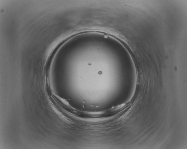 X0000070191511200605261144