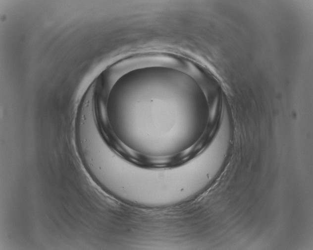 X0000070191512200605261145