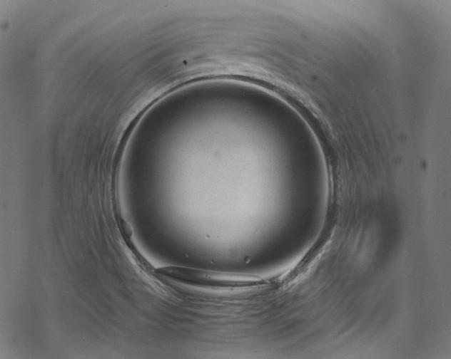 X0000070191513200605261145