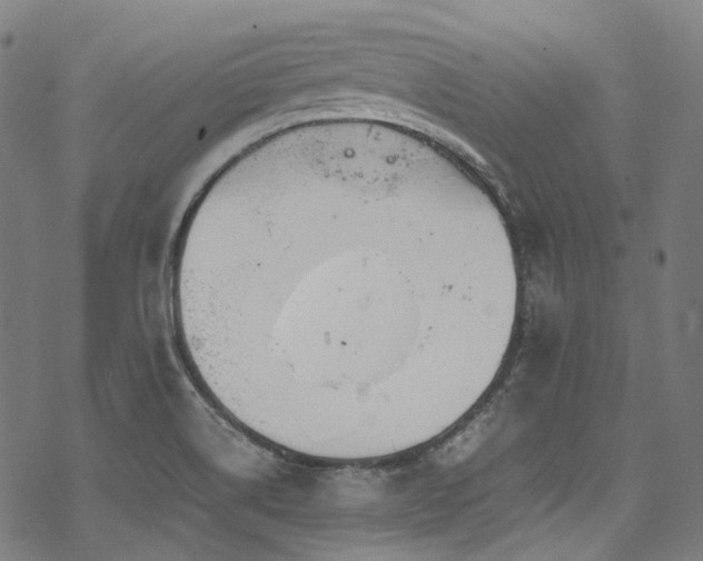 X0000070191514200605261145