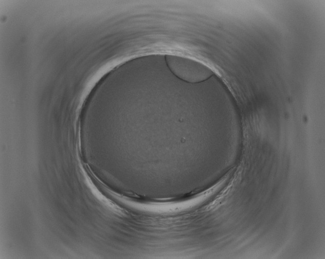 X0000070191515200605261145