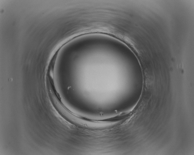 X0000070191516200605261145