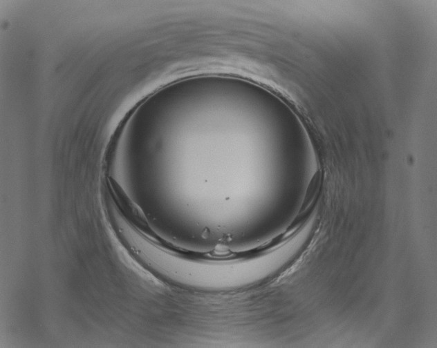 X0000070191518200605261145