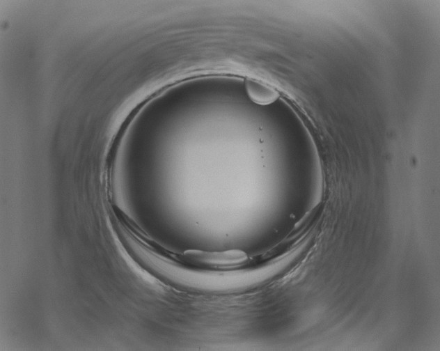 X0000070191519200605261145