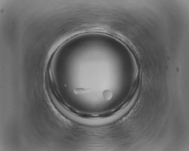 X0000070191520200605261145