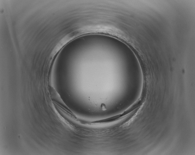 X0000070191521200605261145