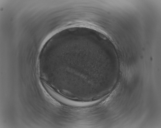 X0000070191522200605261145