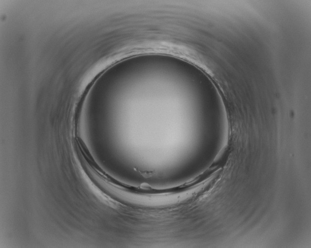 X0000070191523200605261145