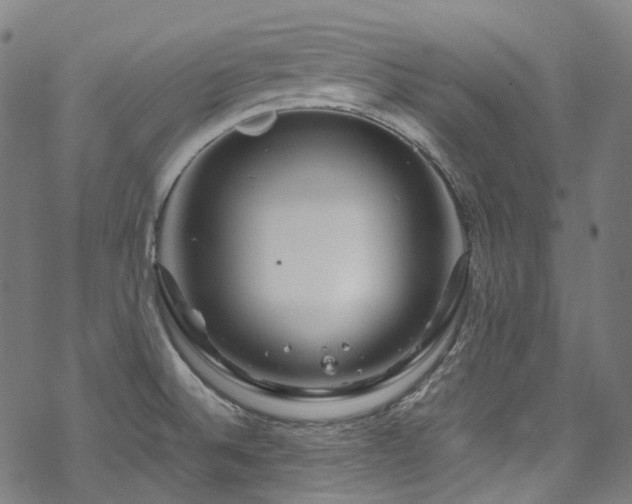 X0000070191524200605261145