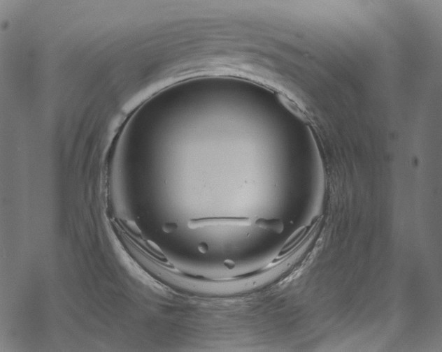 X0000070191526200605261145