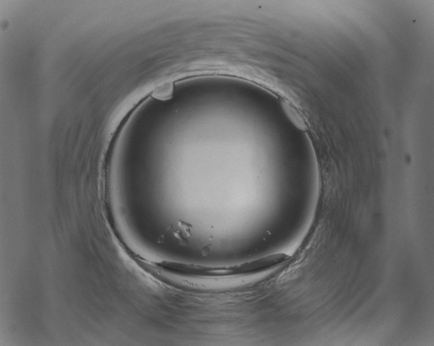 X0000070191527200605261145