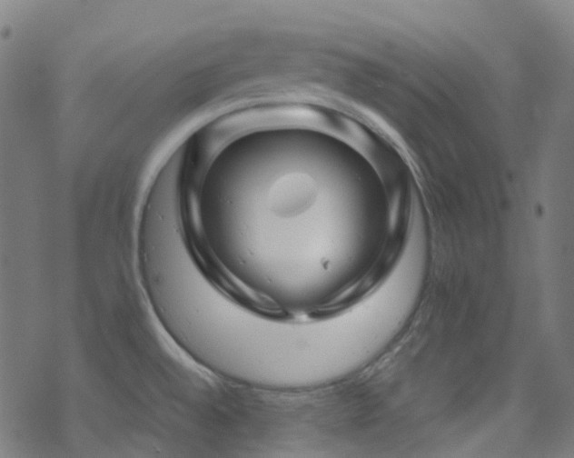 X0000070191528200605261145