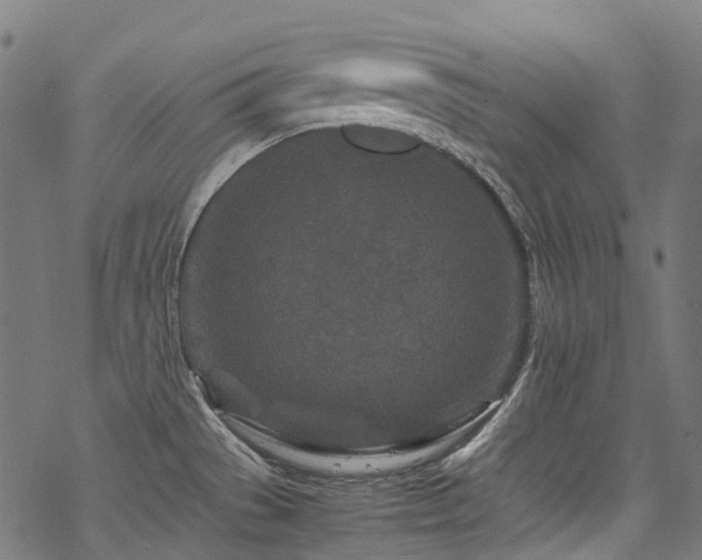 X0000070191529200605261145