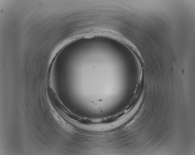 X0000070191530200605261145