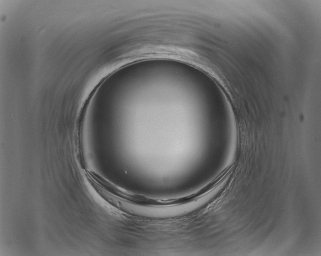 X0000070191531200605261145