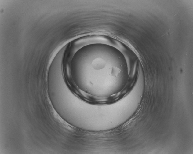 X0000070191532200605261145