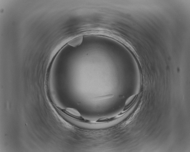 X0000070191533200605261145