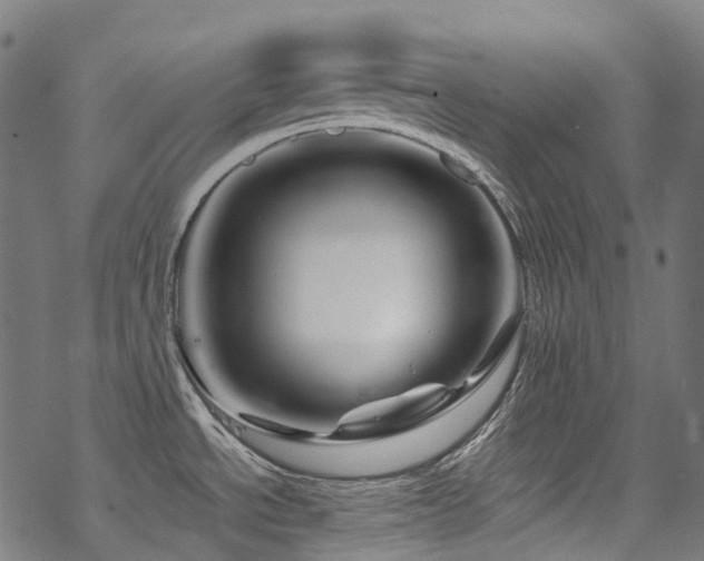 X0000070191534200605261145