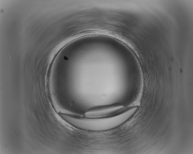 X0000070191535200605261145