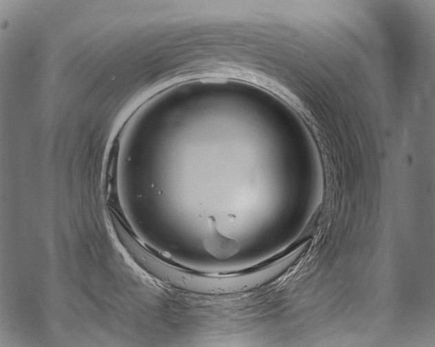 X0000070191536200605261145