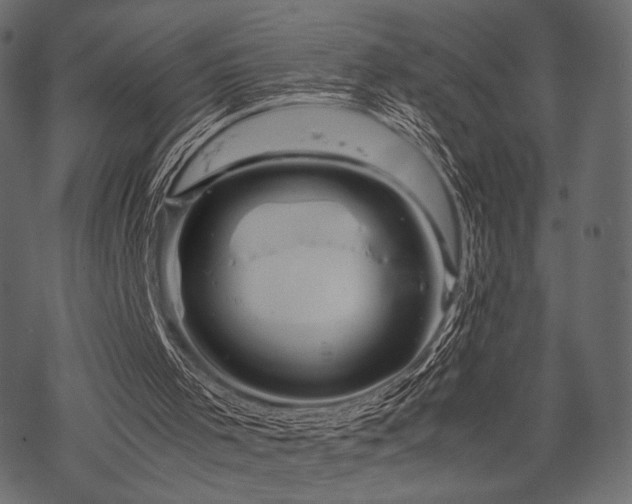 X0000070190001200605301324