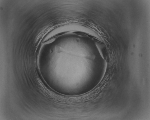 X0000070190002200605301324