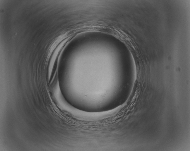 X0000070190003200605301324