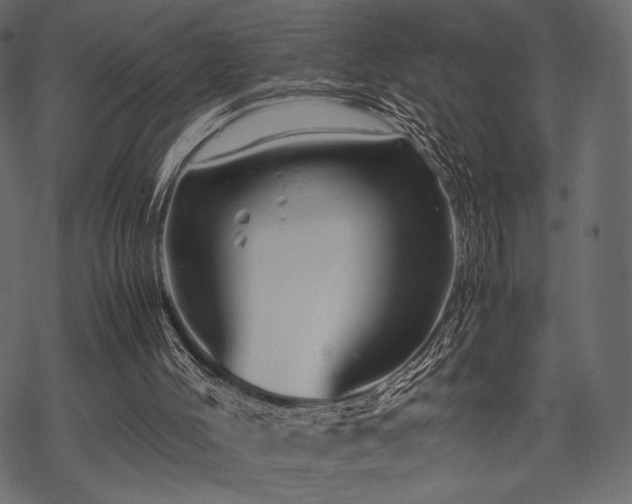 X0000070190004200605301324