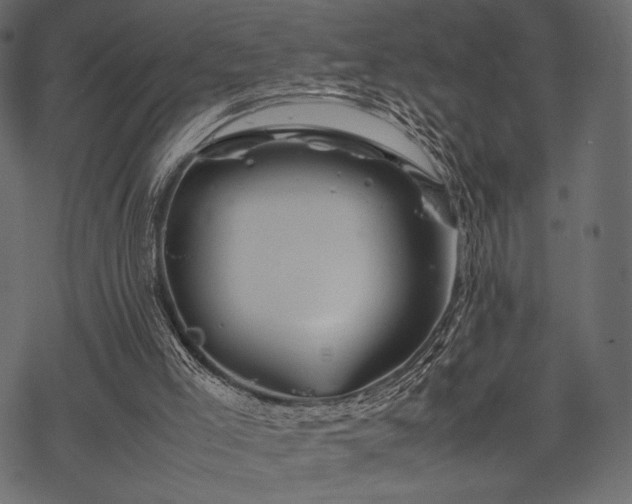 X0000070190005200605301324