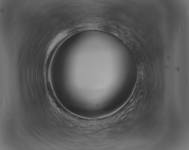 X0000070190006200605301324