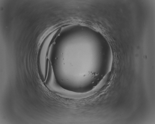 X0000070190007200605301324