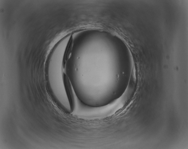 X0000070190008200605301324