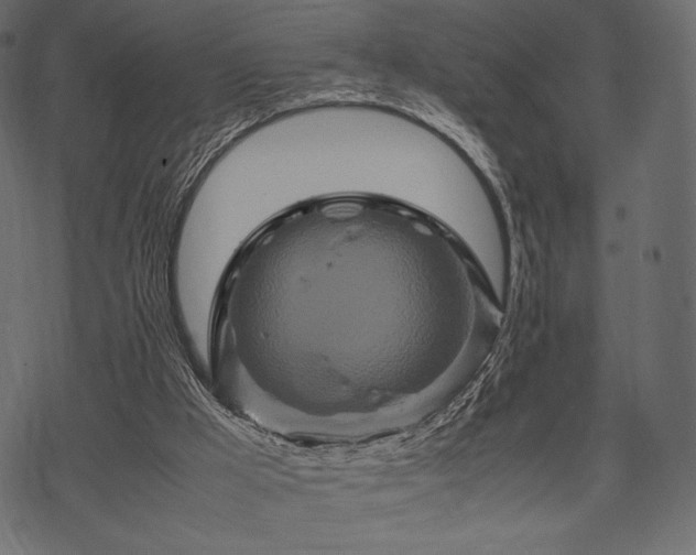 X0000070190009200605301324