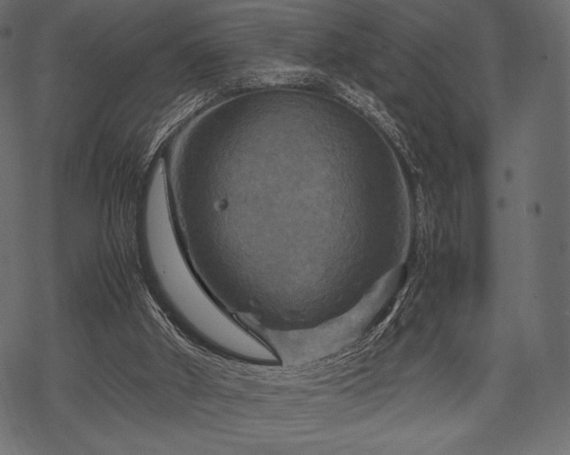 X0000070190010200605301324